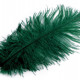 Pštrosie perie dĺžka cca 20-25 cm2 - 2ks