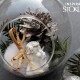 Sklenená guľa Ø10 cm aerárium 1ks