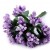 7 fialová levandula